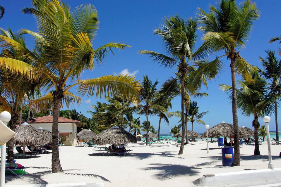 Une plage bordée de palmiers, avec des parasols en chaume et des chaises de plage.