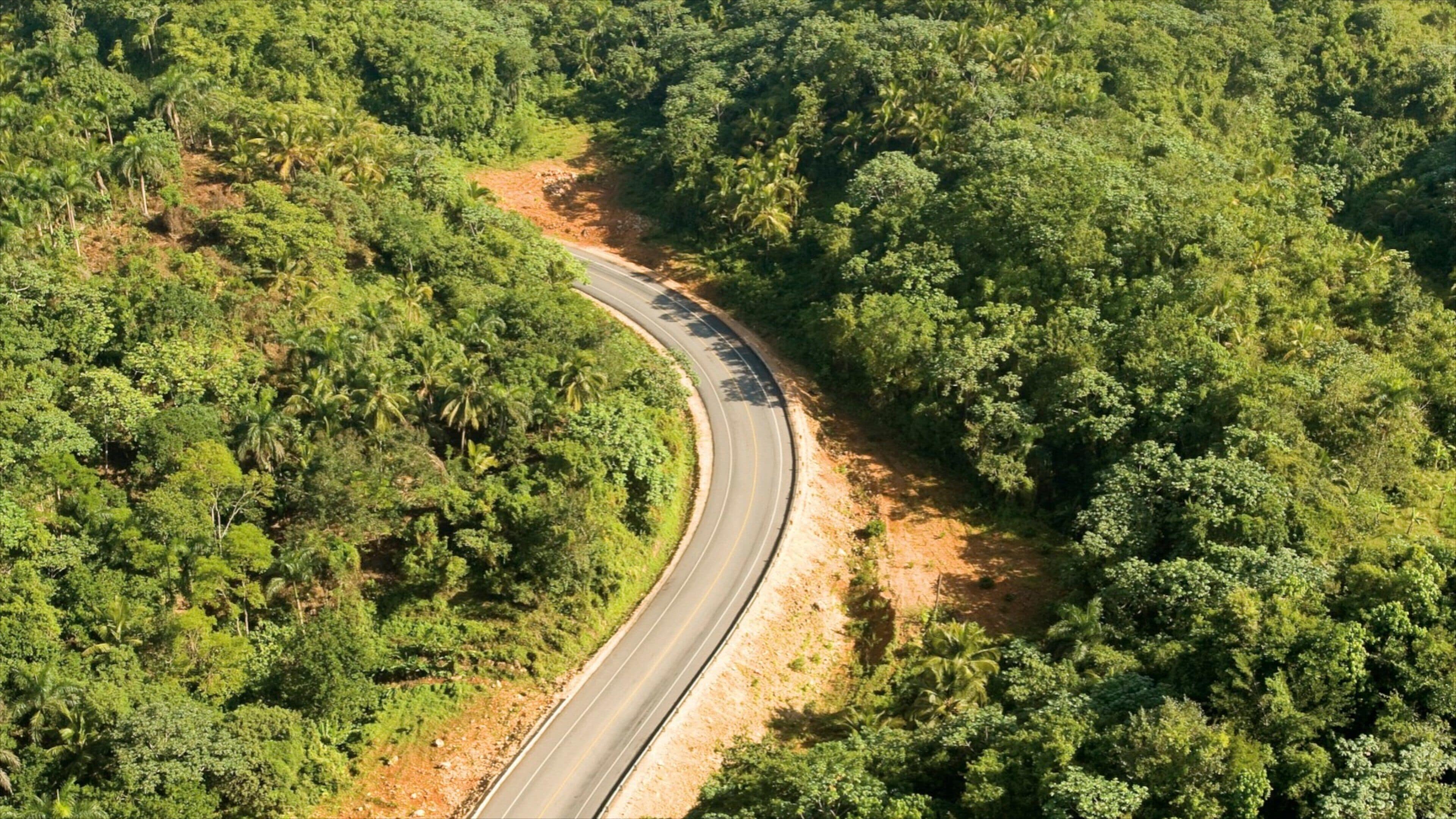 Los Haitises National Park featuring forests