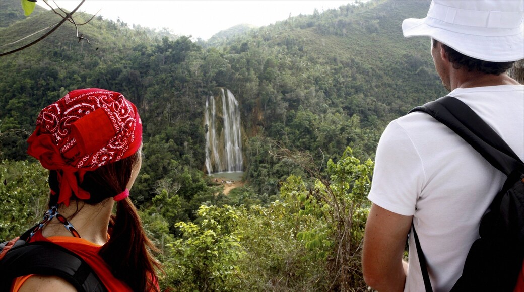 Los Haitises National Park featuring a cascade and forest scenes as well as a couple