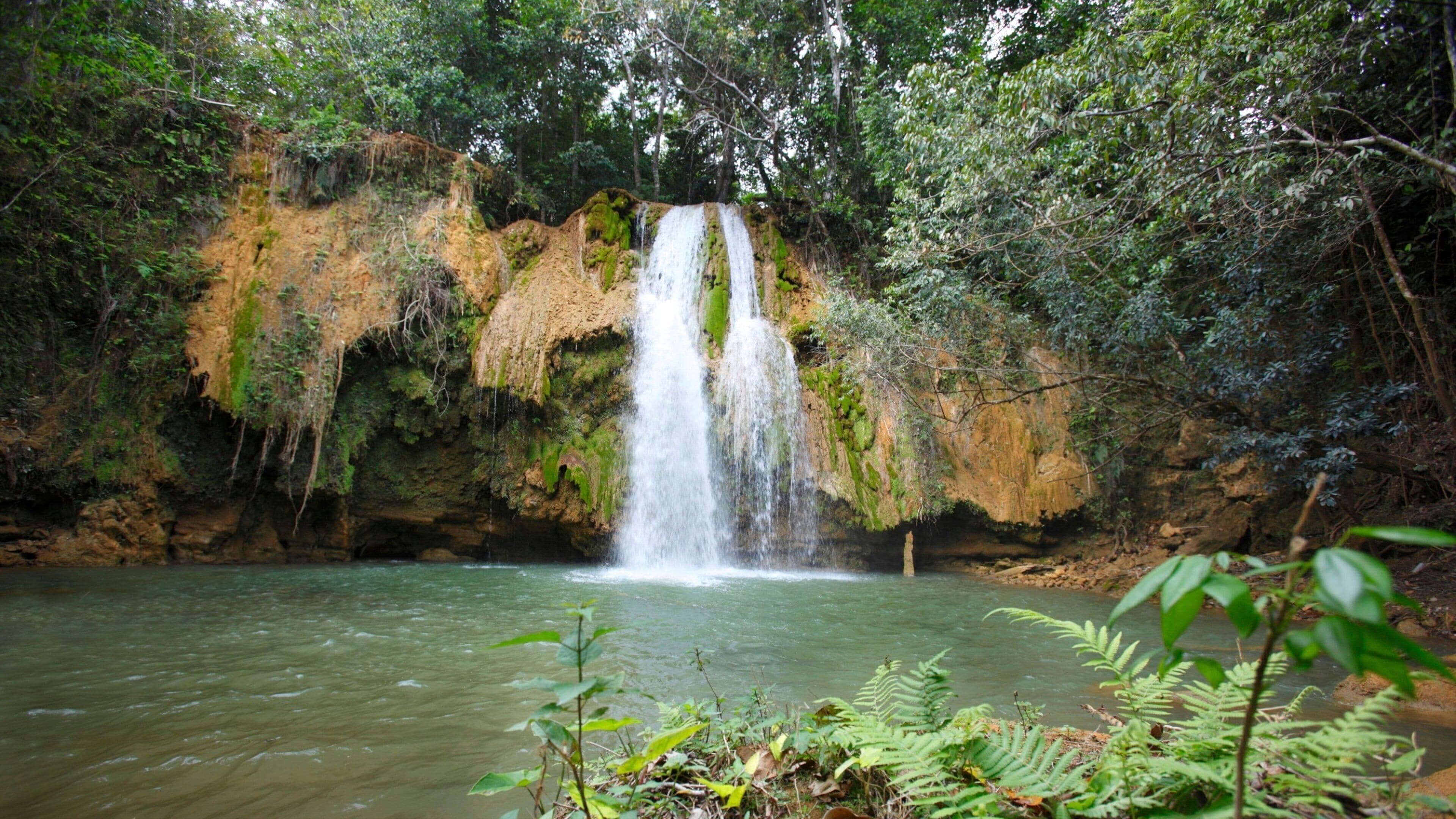 Los Haitises National Park which includes a cascade, rainforest and a lake or waterhole