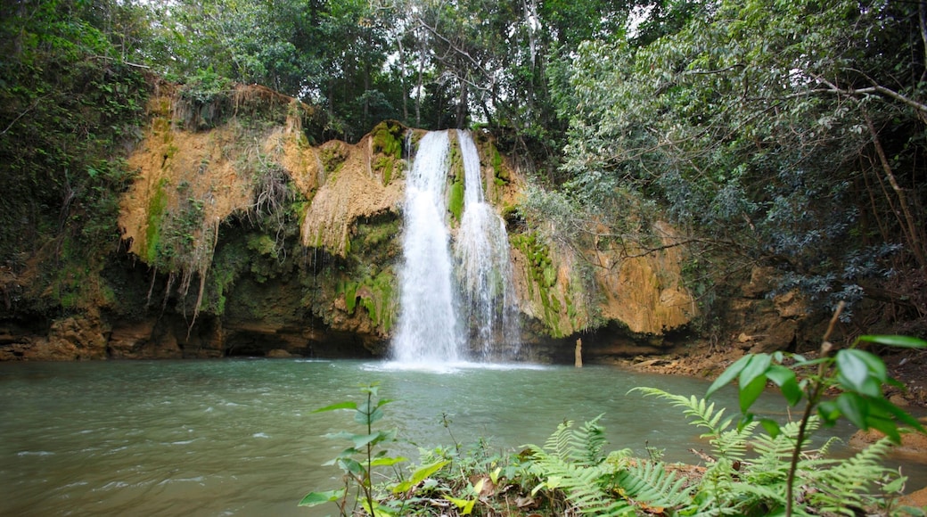 Los Haitises National Park which includes a cascade, rainforest and a lake or waterhole