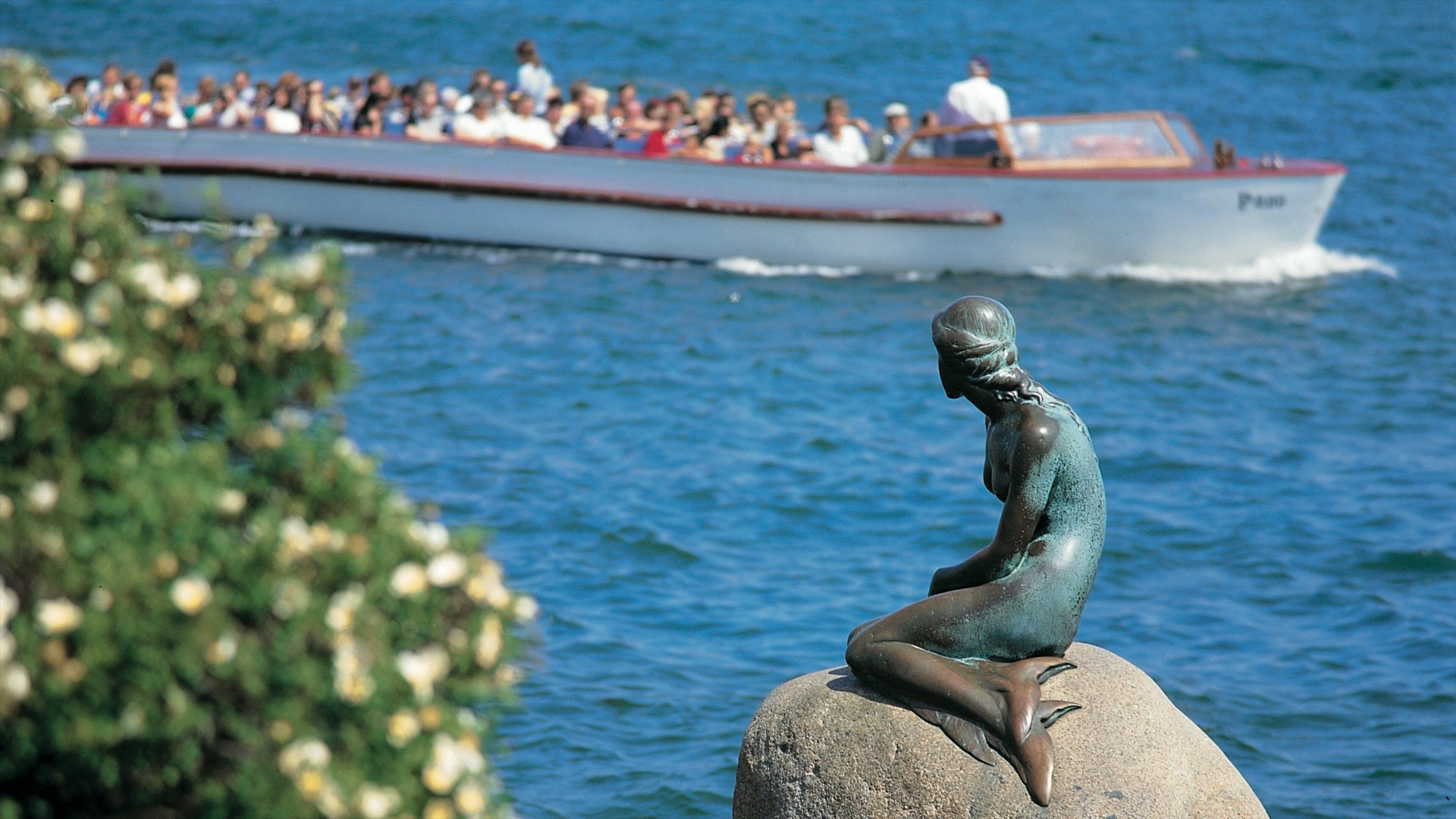 Petite Sirène mettant en vedette art en plein air, rivière ou ruisseau et statue ou sculpture