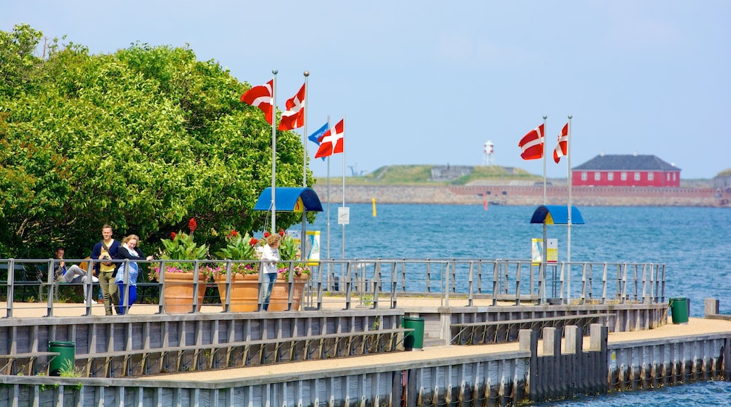 Little Mermaid showing a bay or harbor and views