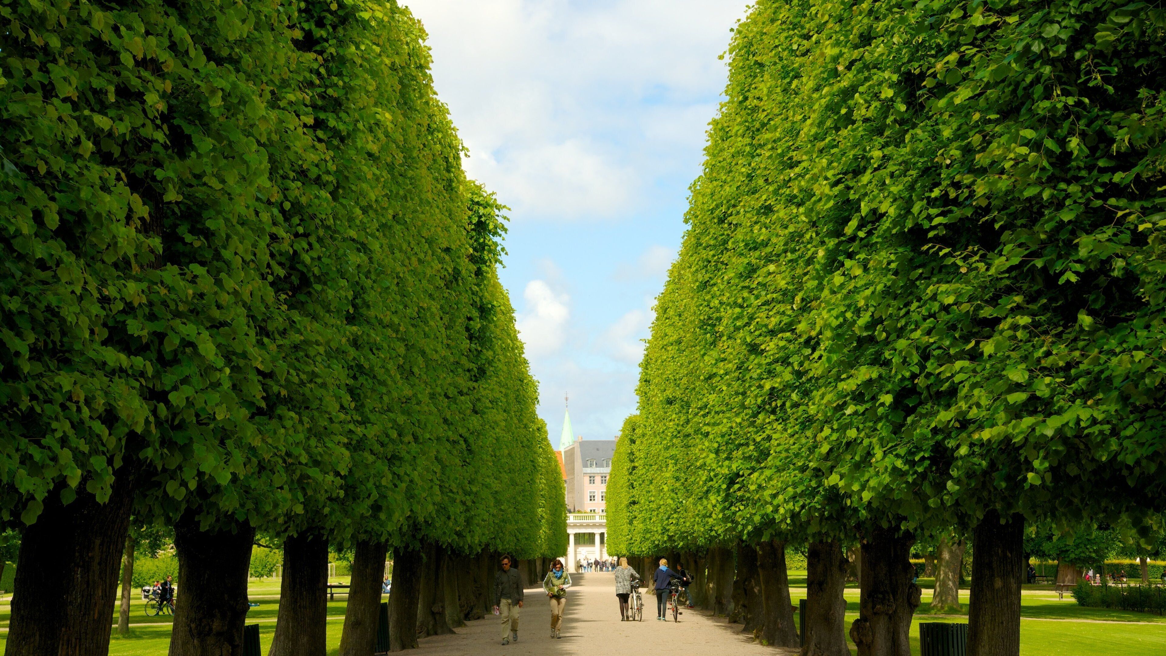 Rosenborg Castle which includes a park