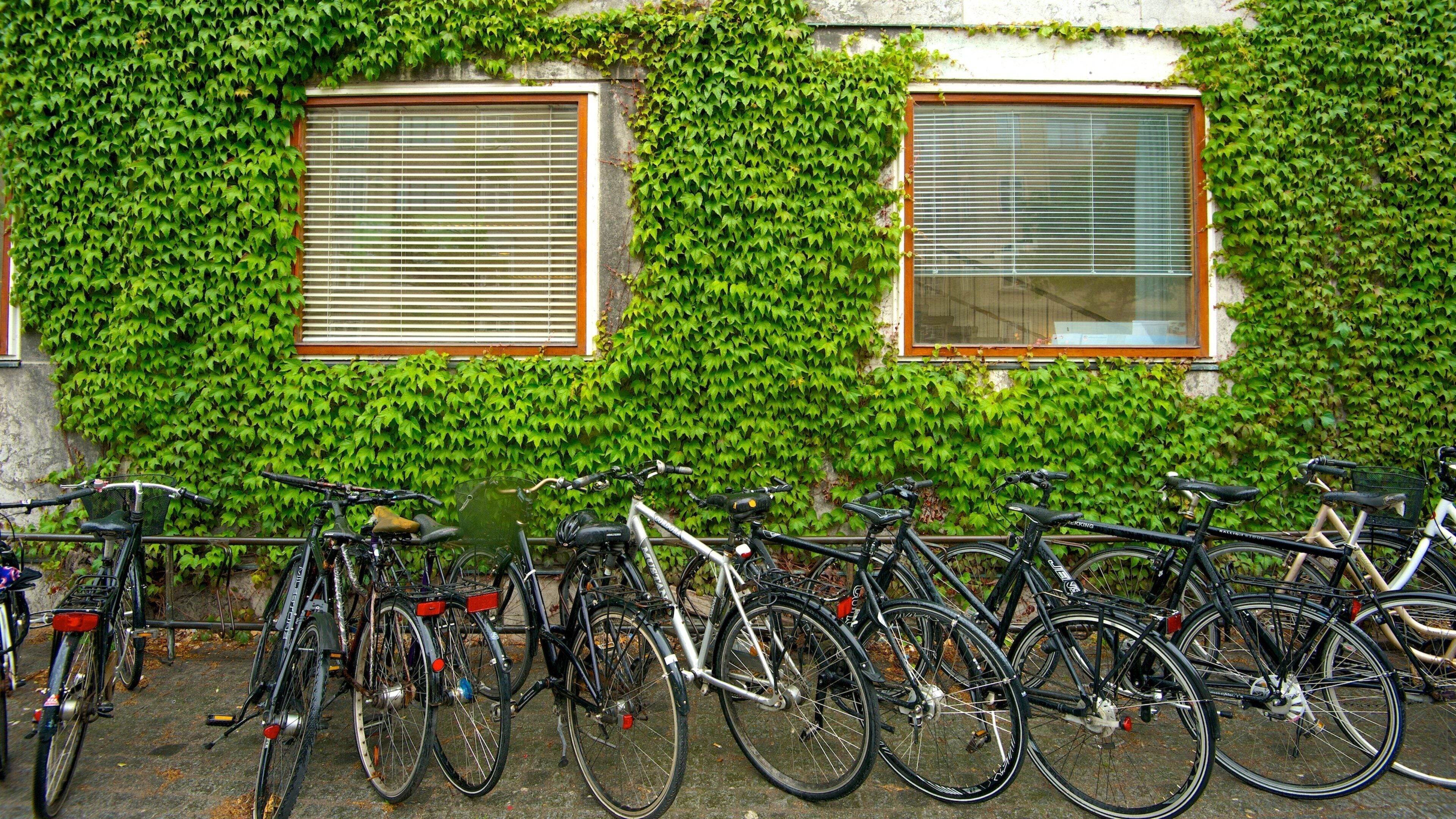 Aarhus City Hall showing cycling