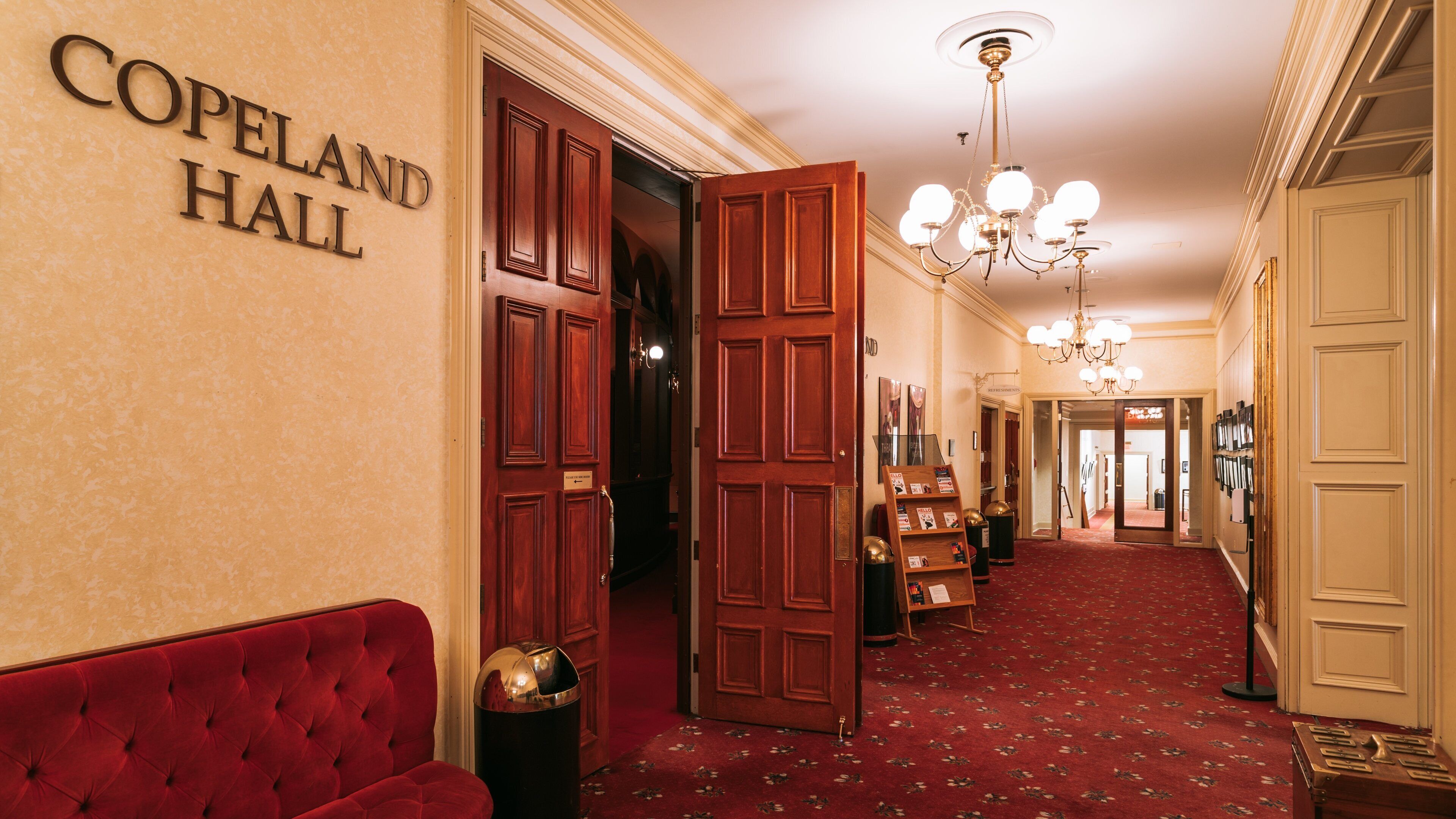 Grand Opera House which includes interior views, signage and heritage elements