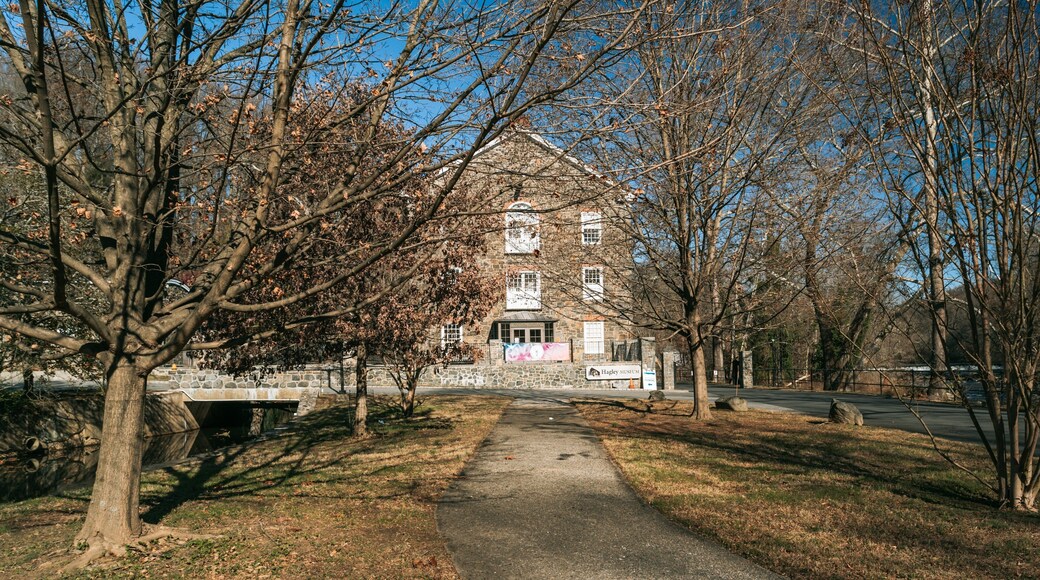 Hagley Museum and Library showing autumn leaves and a park