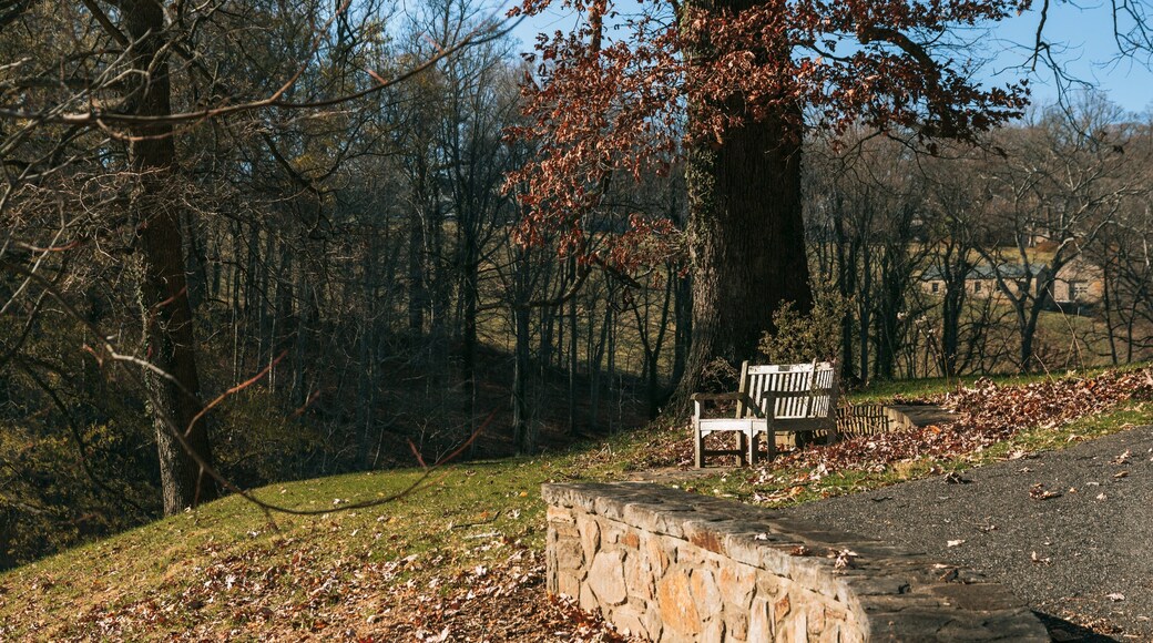 Winterthur Museum, Garden and Library showing a garden and fall colors