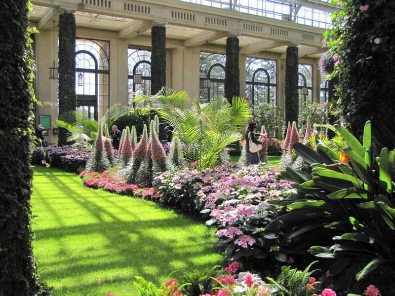 A lush garden with a variety of flowers and plants, large columns, and a conservatory structure.