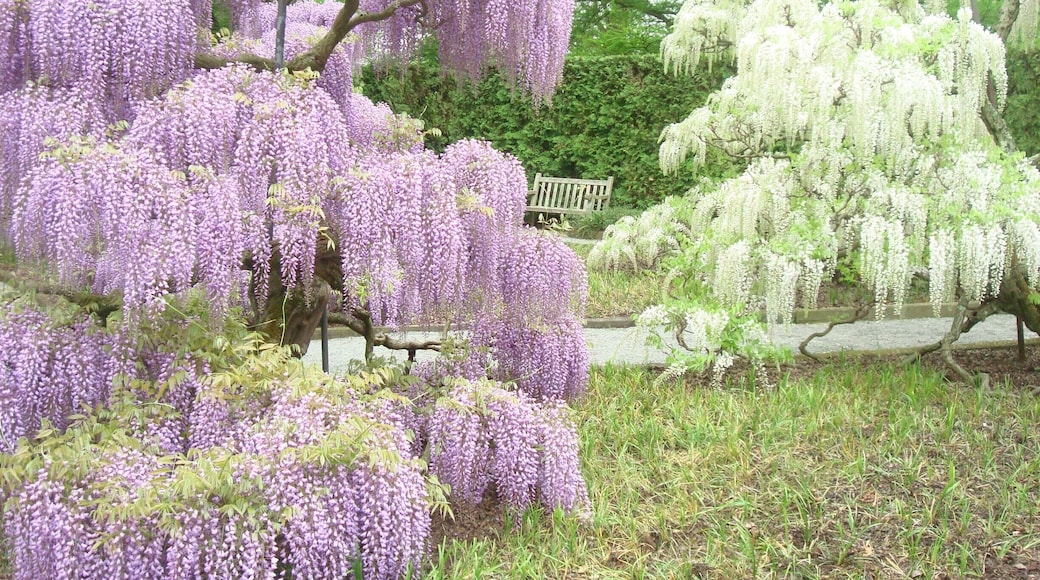 longwood gardens , PA
#EndlessSummer
#colorful
