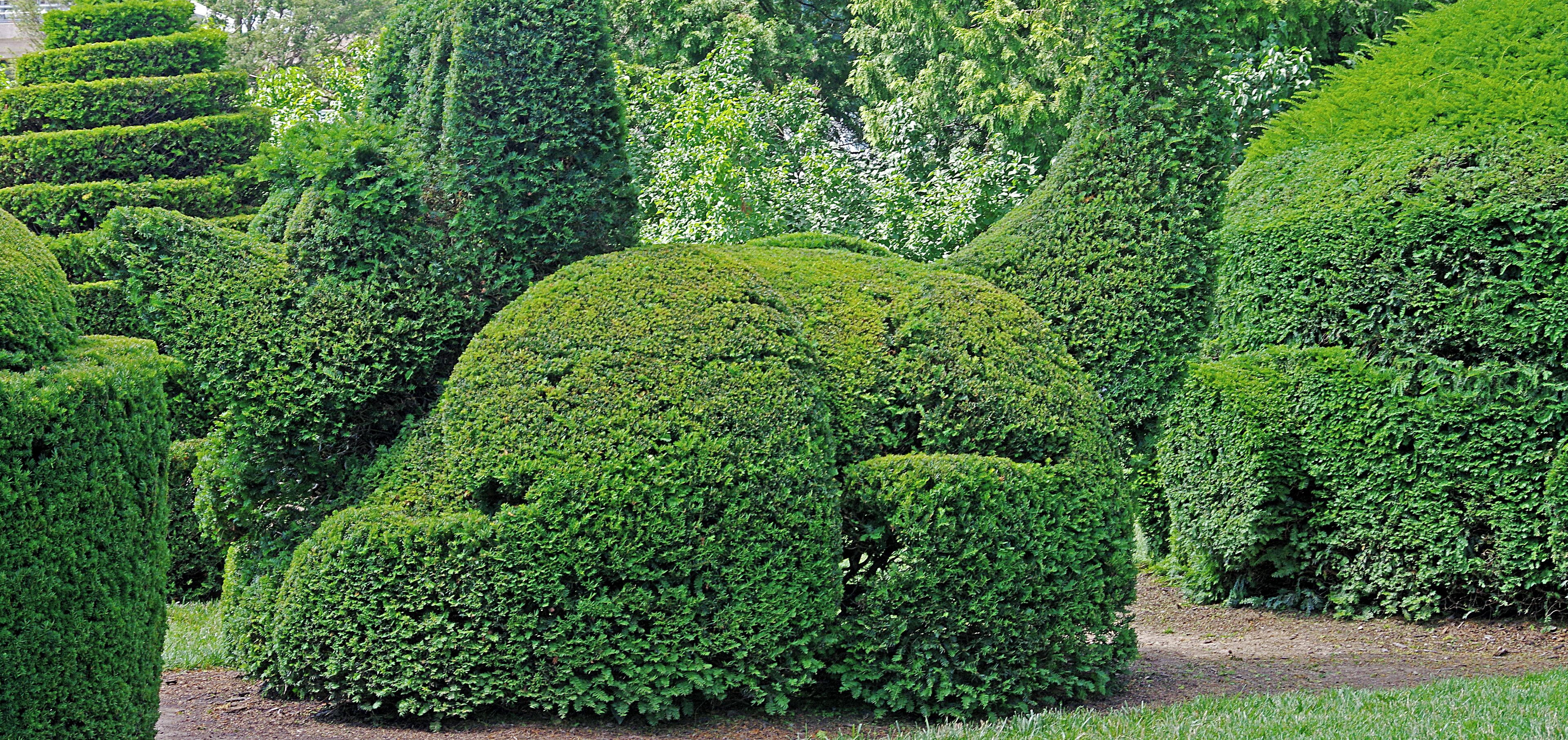 Longwood Garden is an American botanical garden. It consists of over 1,077 acres of gardens, woodlands and meadows in the Brandywine Creek Valley.  One of its many gardens is a Topiary garden. #OnTheRoad