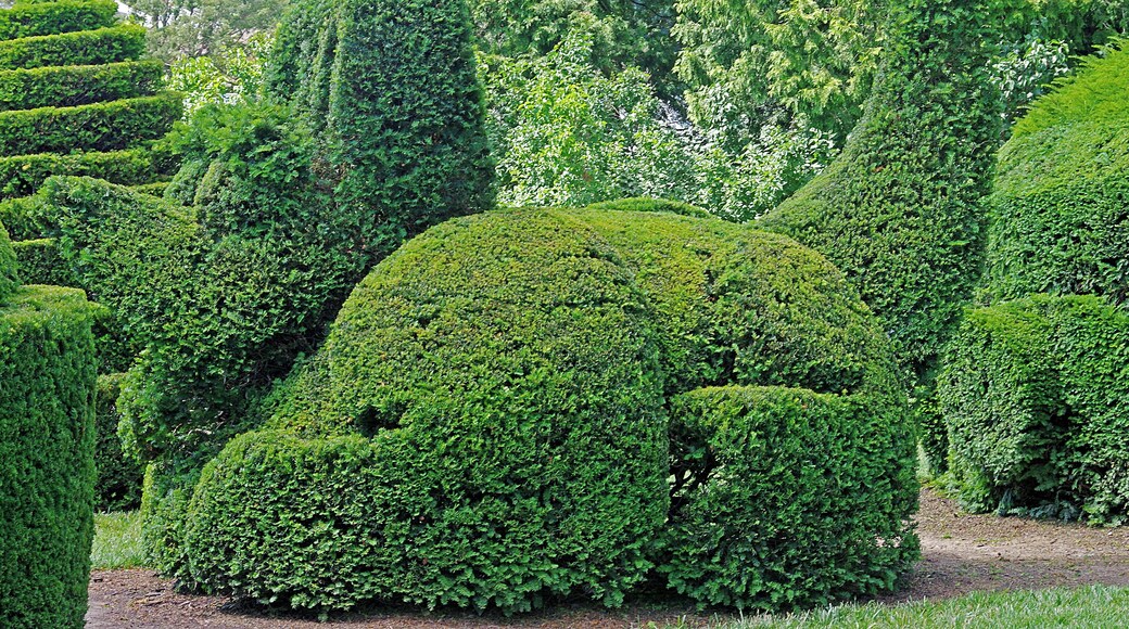 Longwood Garden is an American botanical garden. It consists of over 1,077 acres of gardens, woodlands and meadows in the Brandywine Creek Valley. One of its many gardens is a Topiary garden. #OnTheRoad