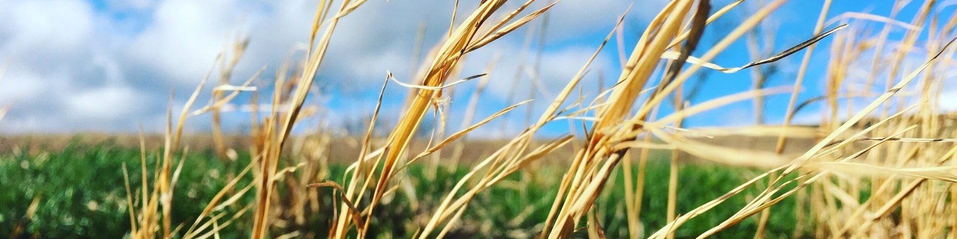 #Green spring is almost here