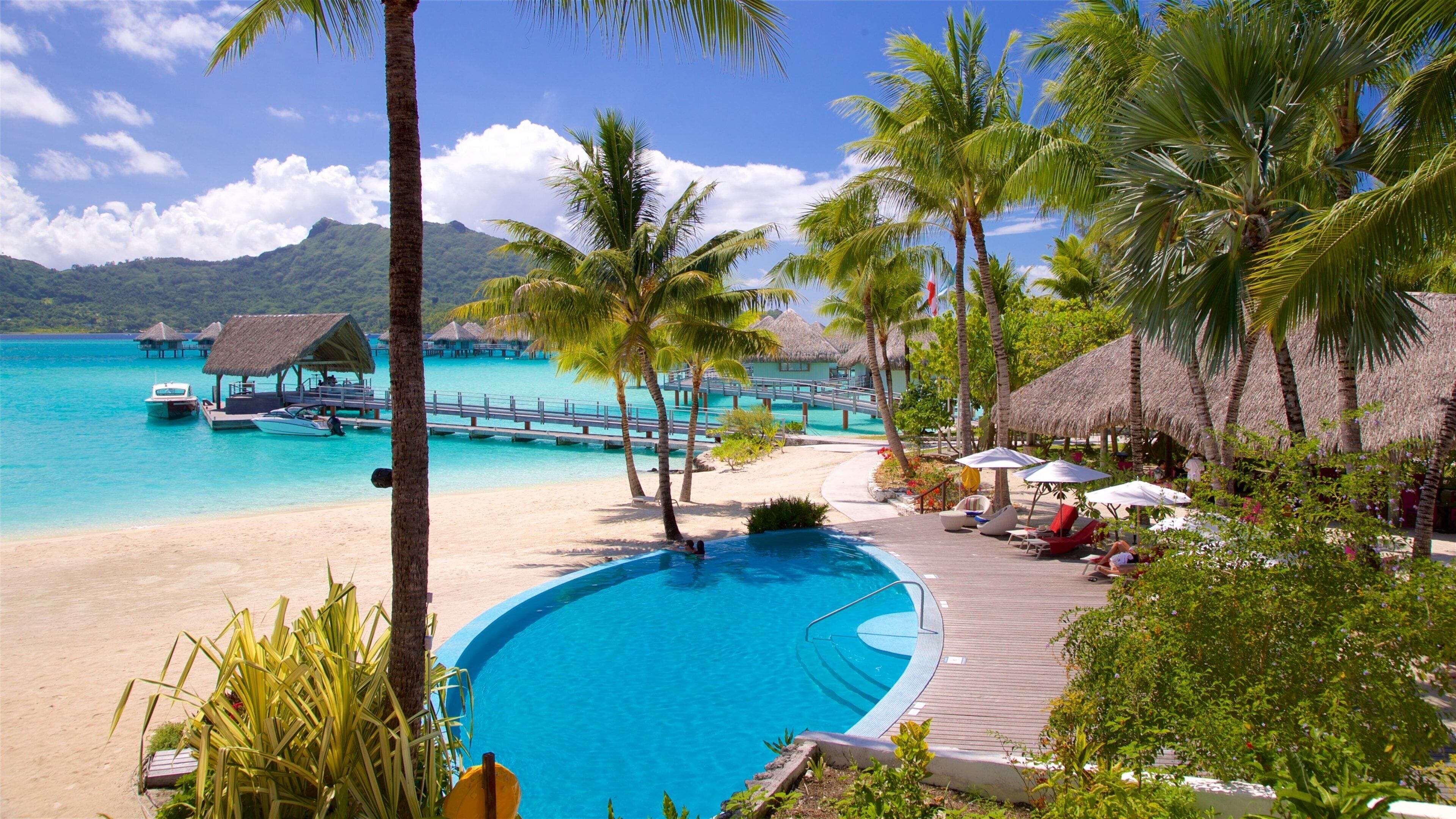 A tropical resort with a swimming pool, palm trees, a beach, and a thatched-roof structure.