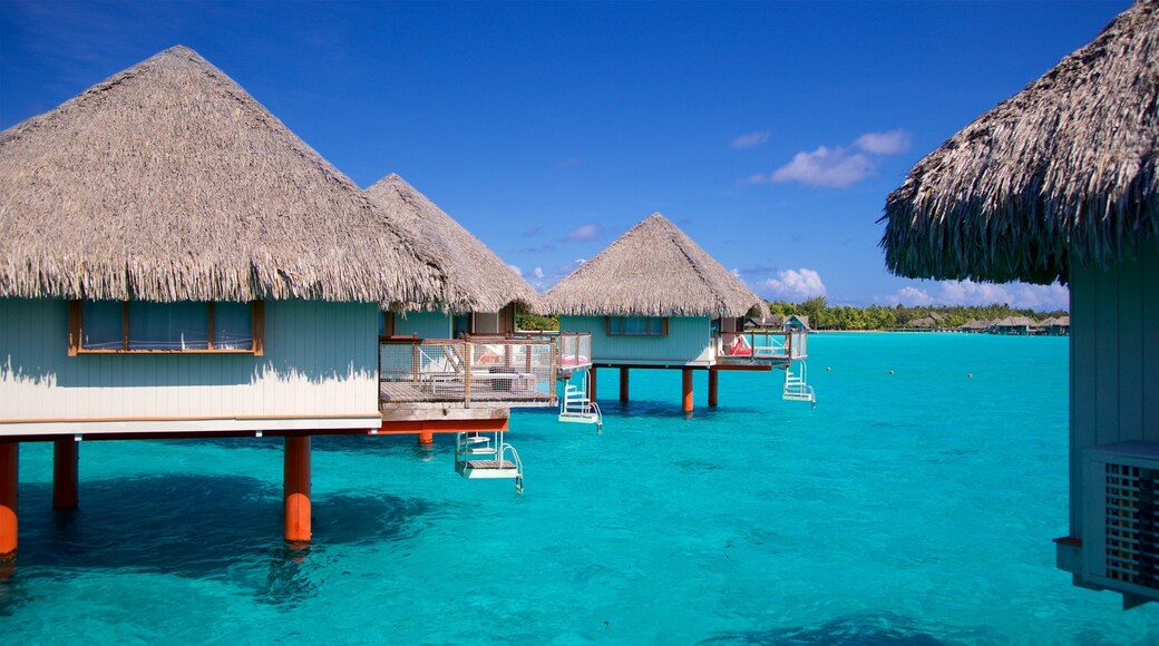 Le Meridien Beach featuring general coastal views and tropical scenes