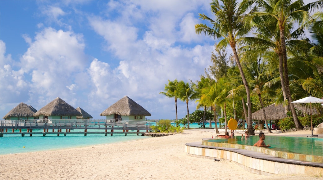 Playa de Le Meridien que incluye una alberca, escenas tropicales y una playa