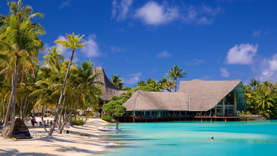 A beach resort with a thatched-roof building, palm trees, and clear turquoise water.