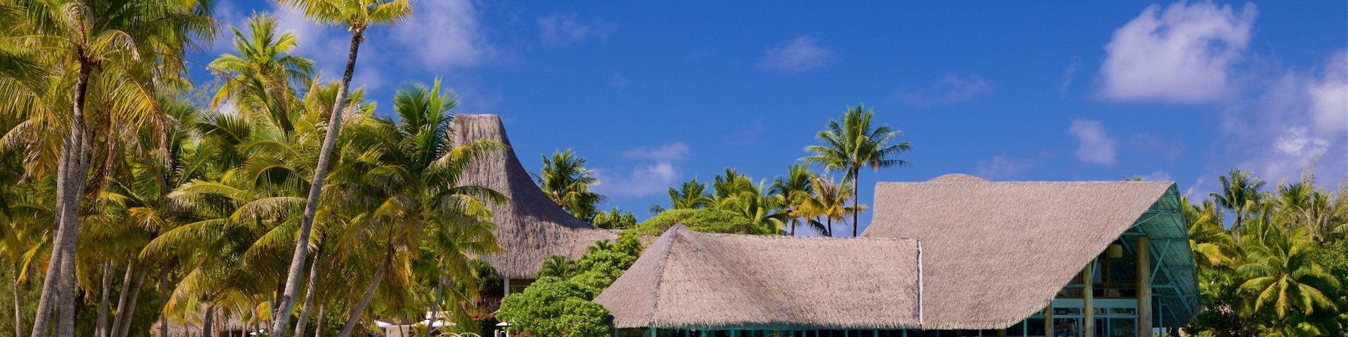 Le Meridien Beach showing tropical scenes, general coastal views and a sandy beach