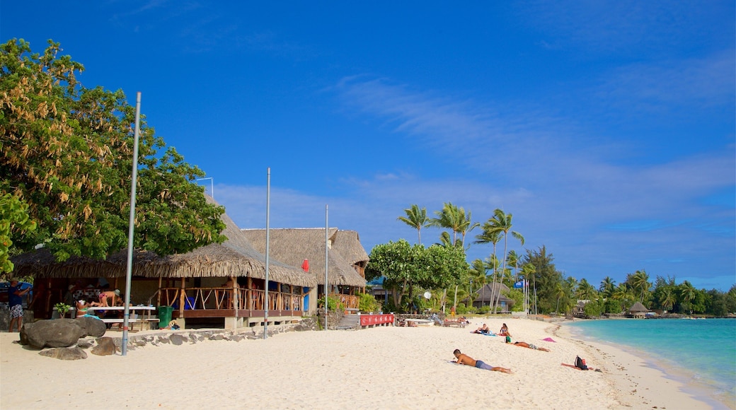 Matira Beach showing a sandy beach, general coastal views and tropical scenes