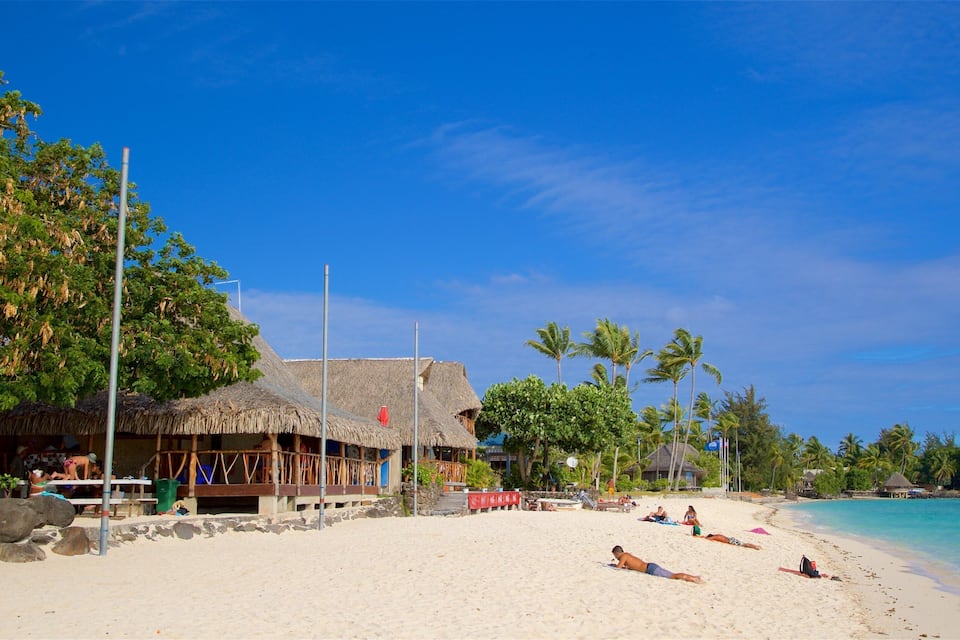 A beach with thatched-roof huts, palm trees, and clear blue water.