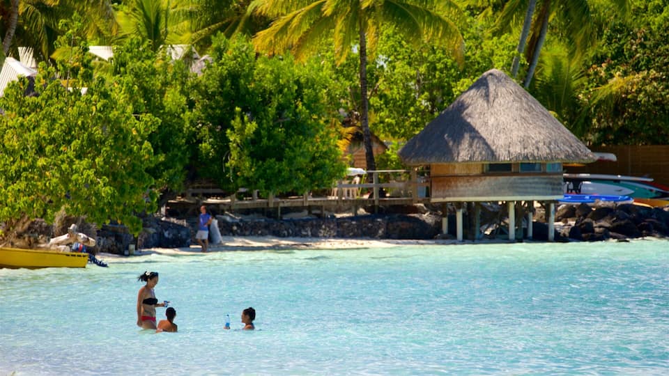 A tropical beach with clear turquoise water, palm trees, and a thatched-roof hut.