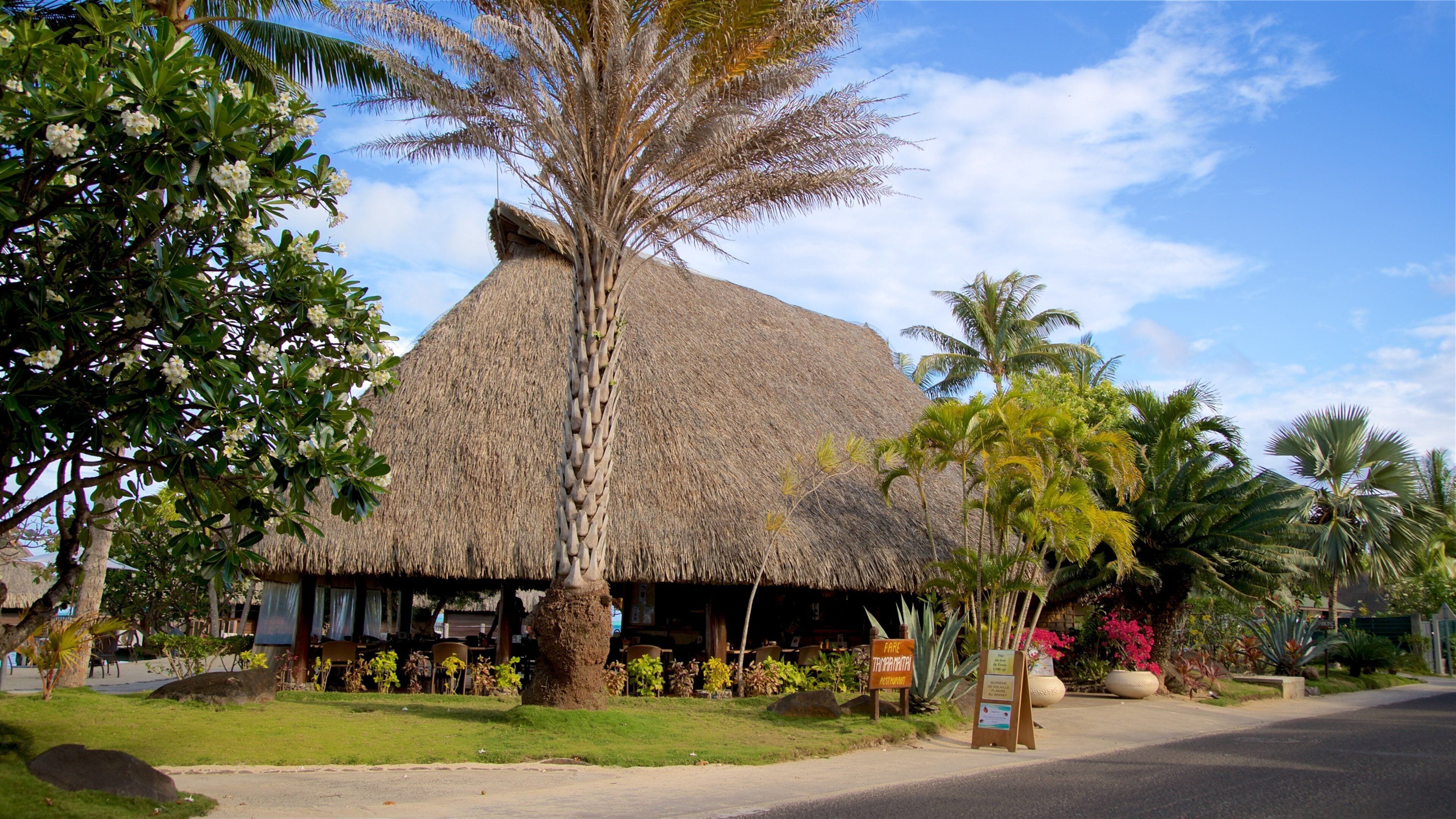 Matira Point som visar tropisk natur