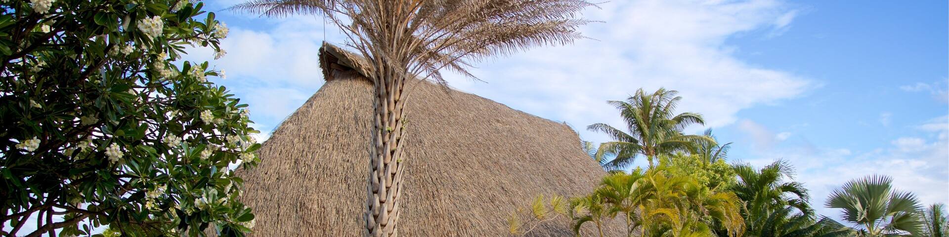 Matira Point which includes tropical scenes