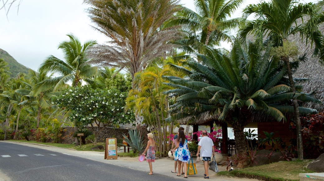 Matira Point showing tropical scenes as well as a family