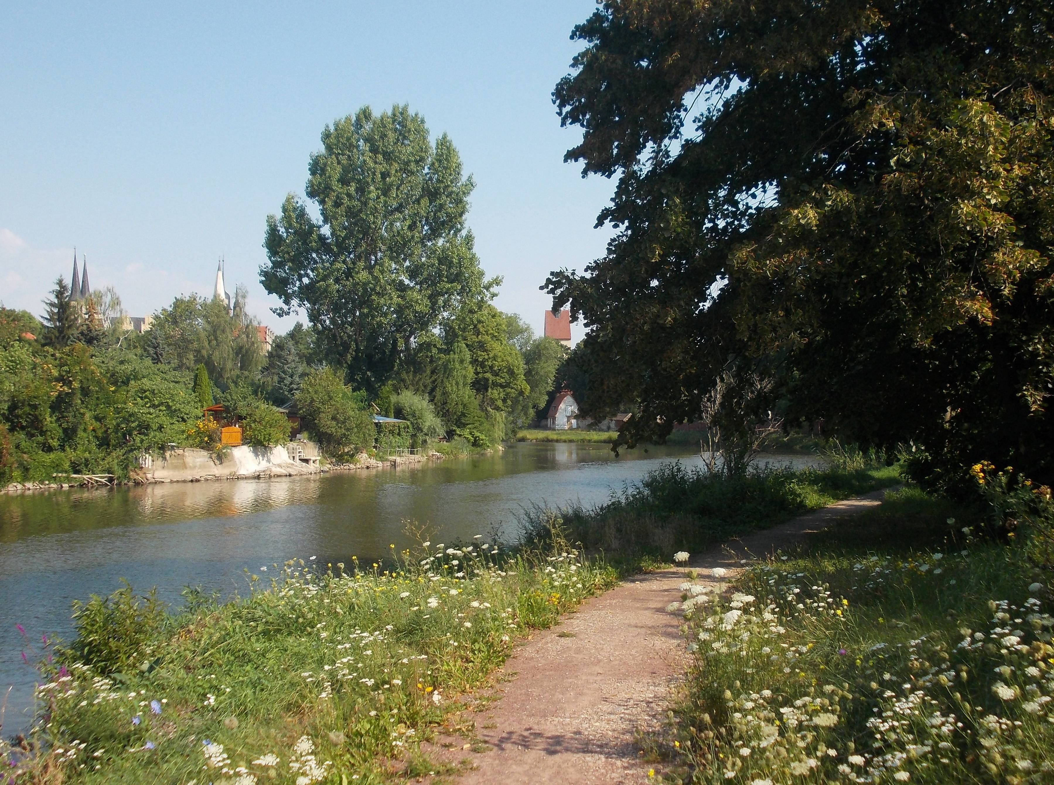 Towpath on the Saale river in merseburg (district: Saalekreis, Saxony-Anhalt)