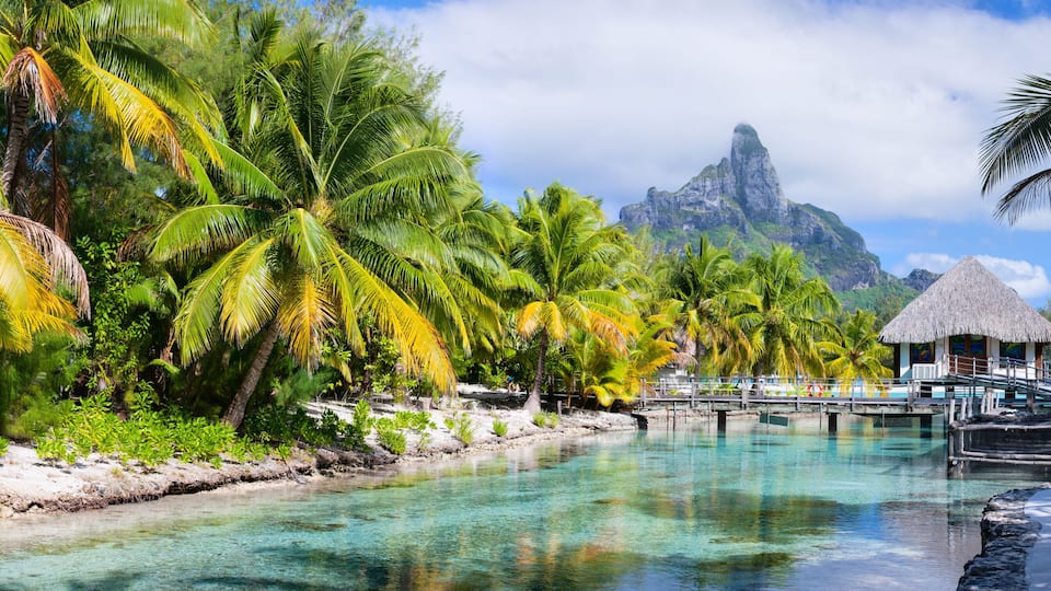 A tropical beach with palm trees, a clear blue lagoon, a thatched-roof hut, and a mountain in the background.