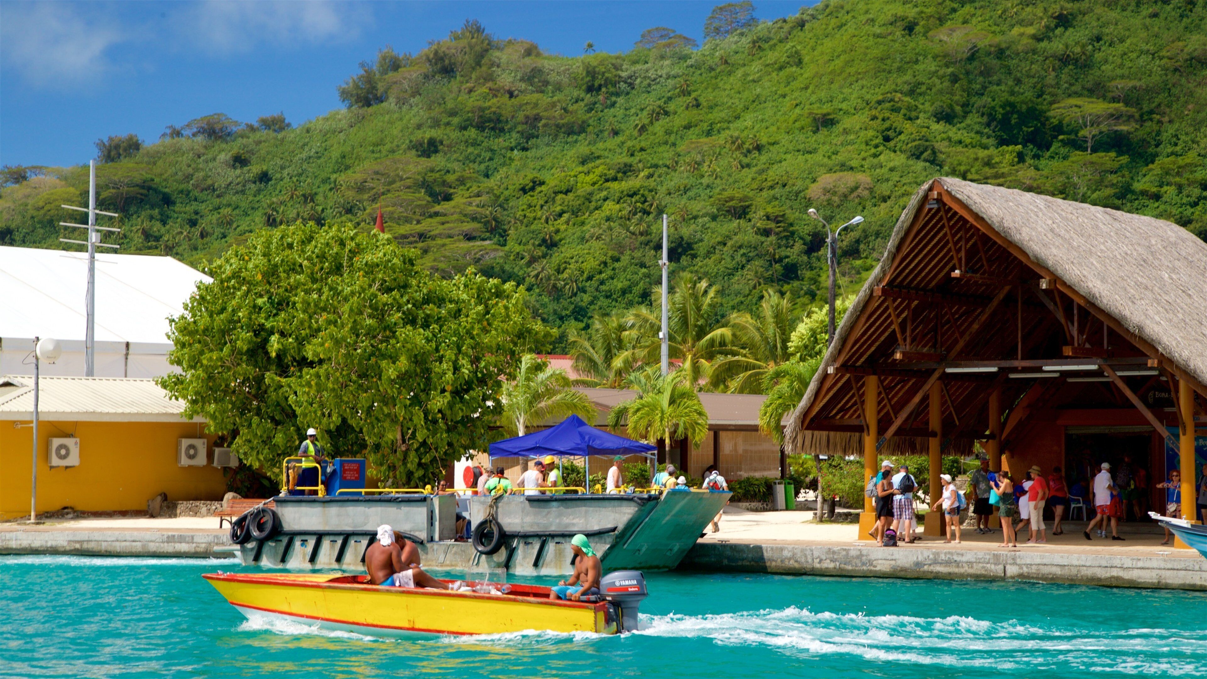 Vaitape Harbor showing tropical scenes, boating and general coastal views