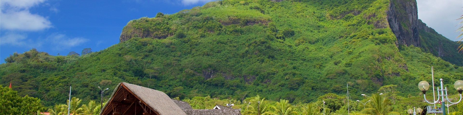 Vaitape Harbor which includes general coastal views, mountains and tropical scenes