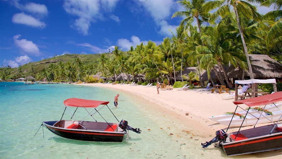 Sofitel Resort Beach showing a sandy beach, general coastal views and tropical scenes