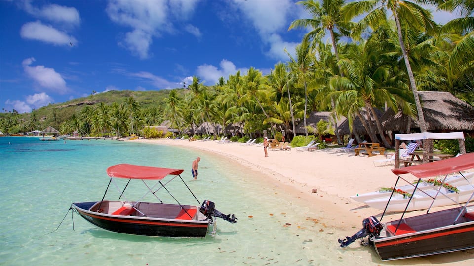 A beach with clear turquoise water, palm trees, and thatched-roof huts.