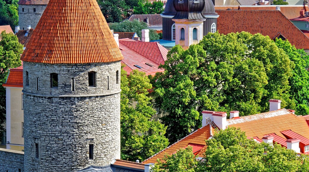 Blick auf Olaikirche und Türme der Altstadt Tallinn, Estland