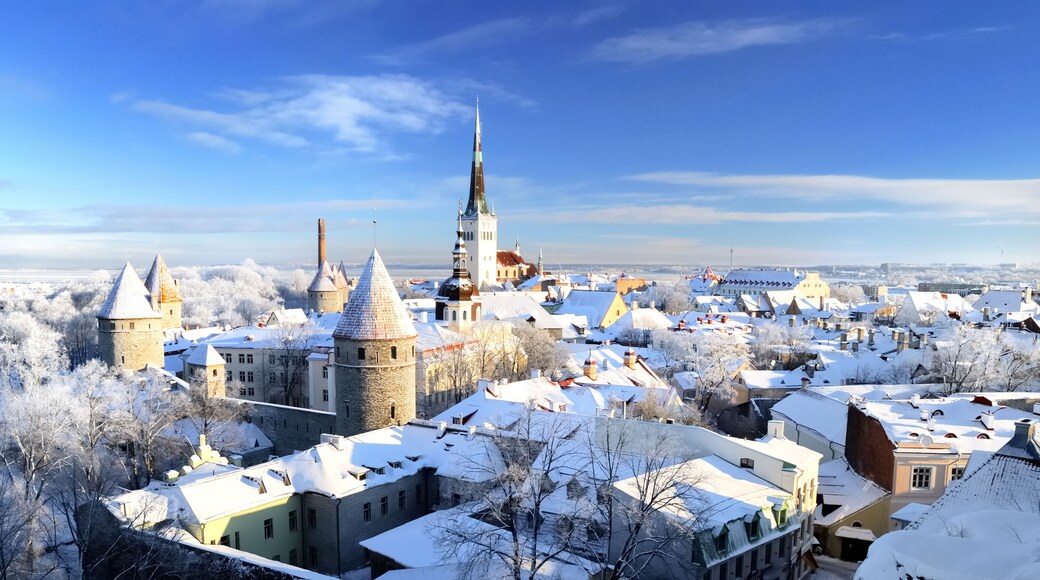 Panoramic aerial view of the old town of Tallinn, Estonia. St. Olaf's Church, fortress towers, snow-covered roofs and spires. Winter, Christmas vacations, travel destinations, sightseeing, culture