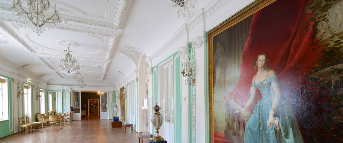 Kadriorg Palace showing art, heritage architecture and a castle