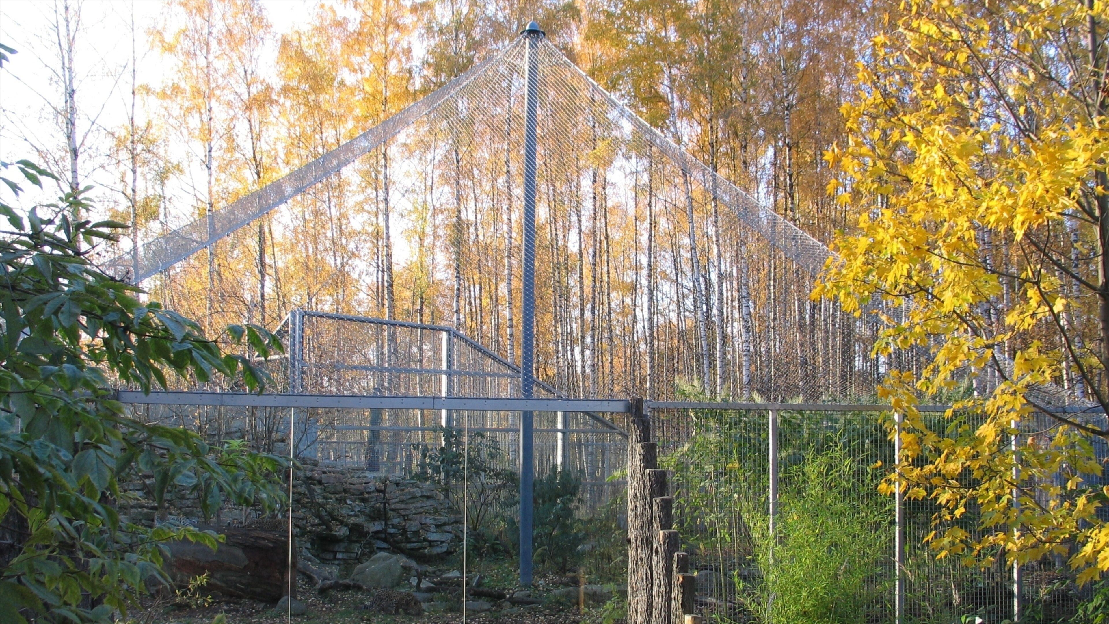 Tallinn Zoo featuring zoo animals