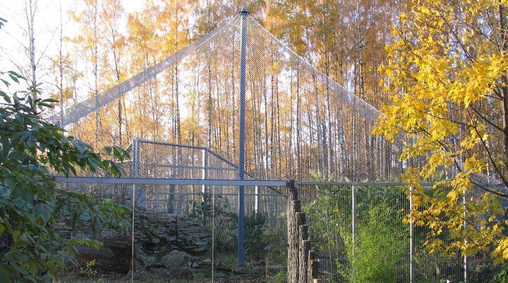 Tallinn Zoo featuring zoo animals