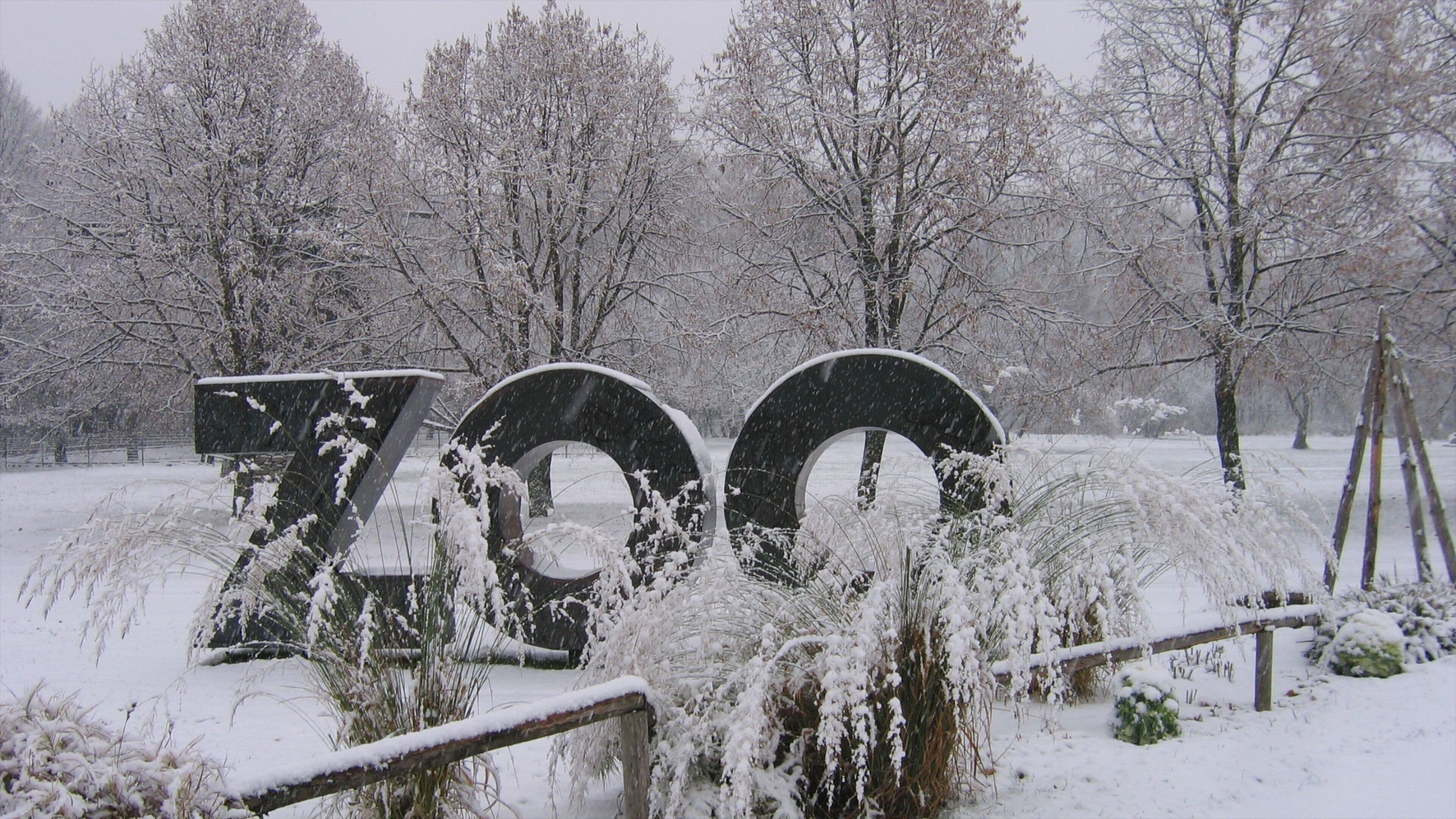 Tallinn Zoo som inkluderer snø, skilt og dyrehagedyr