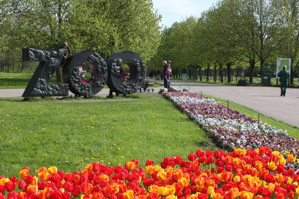 A park with a large '2014' sculpture, a flower bed with tulips, and a signboard.