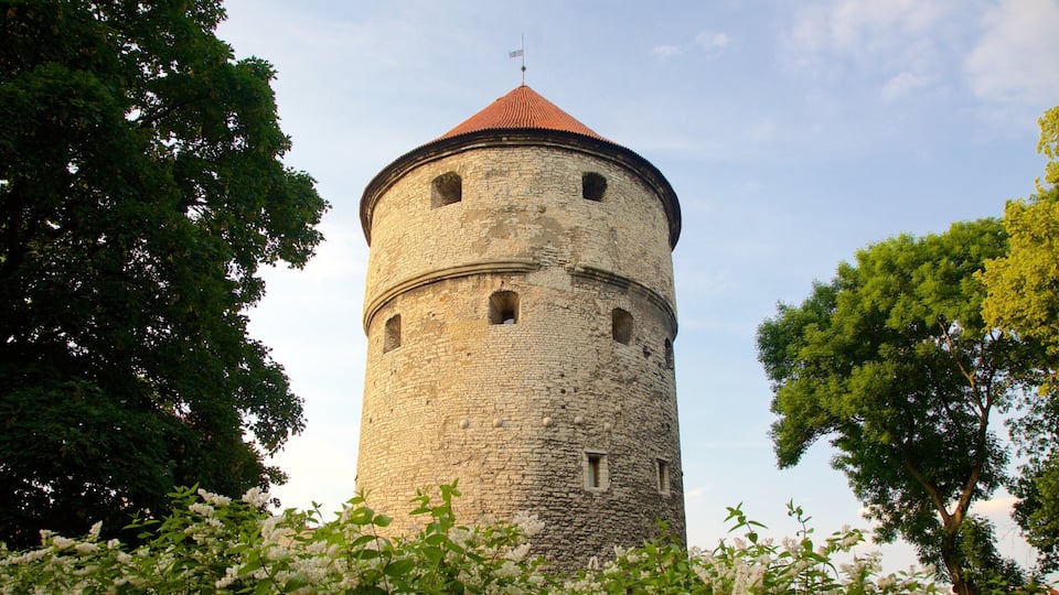 Kiek in de Kok and Bastion Passages Museum which includes heritage elements