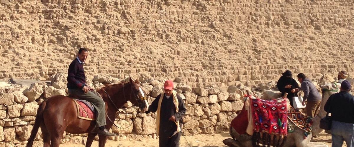 Horseback and camel rides at the Giza Pyramids.