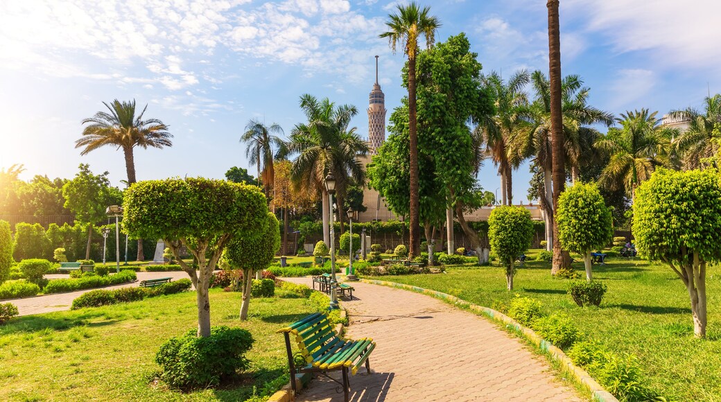 Green park with palms in the center of Cairo and view on the TV Tower, Egypt