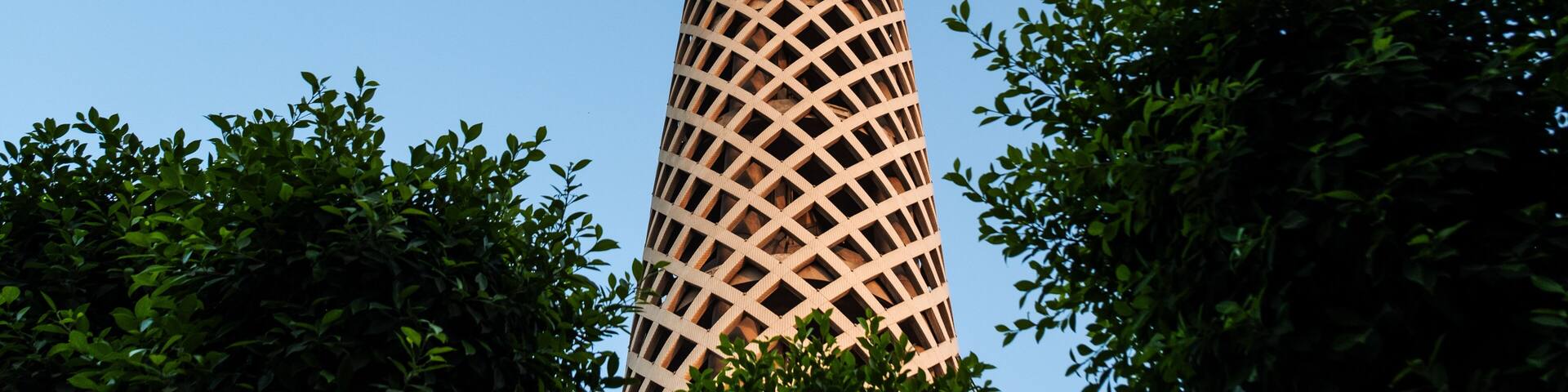 The Cairo tower in Egypt between the trees in the sky