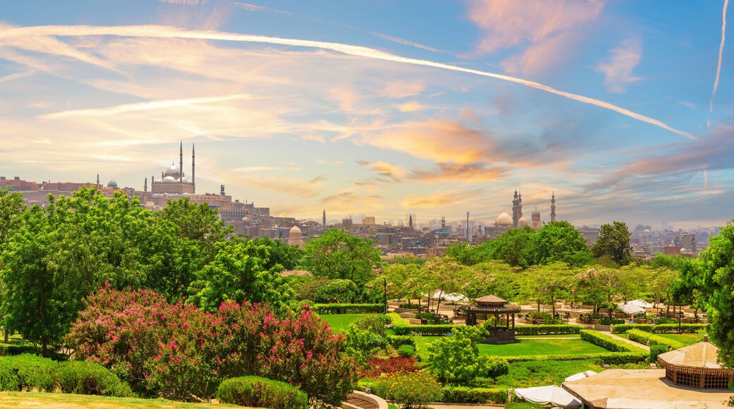 View of Al-Azhar Park and the Mosque of Muhammad Ali in the background, Cairo, Egypt
