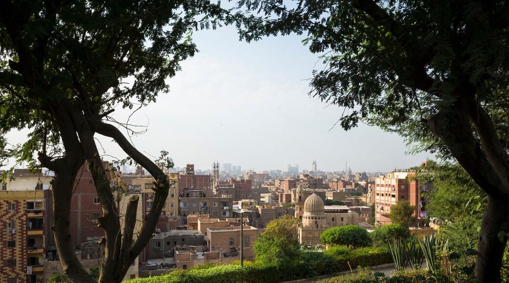 Cairo old town cityscape view from Al Azhar Park framed with trees, Egypt, Middle east urban panorama