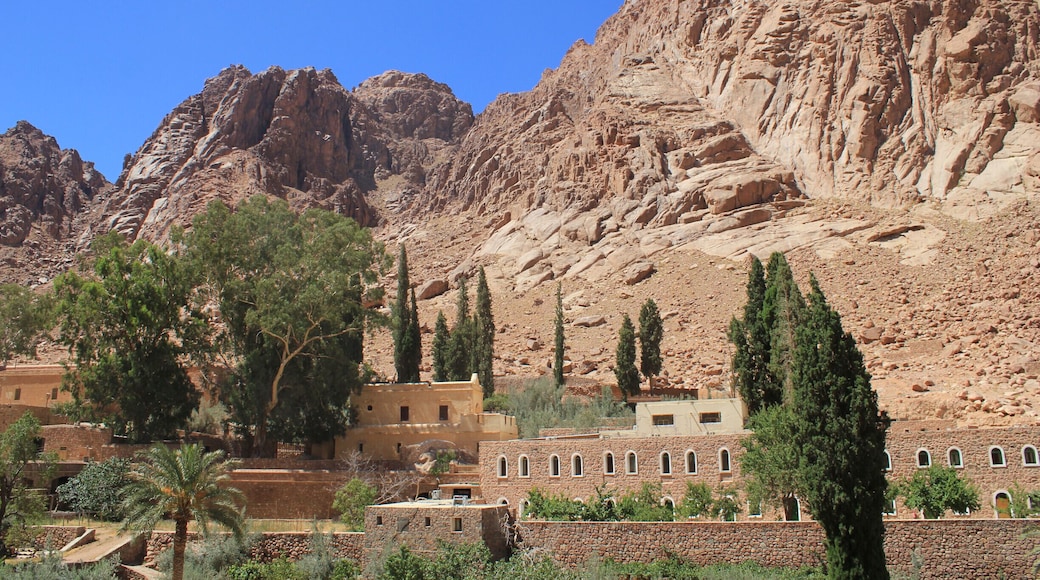 Mount Sinai - a historic landmark