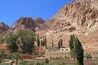 Mount Sinai - a historic landmark