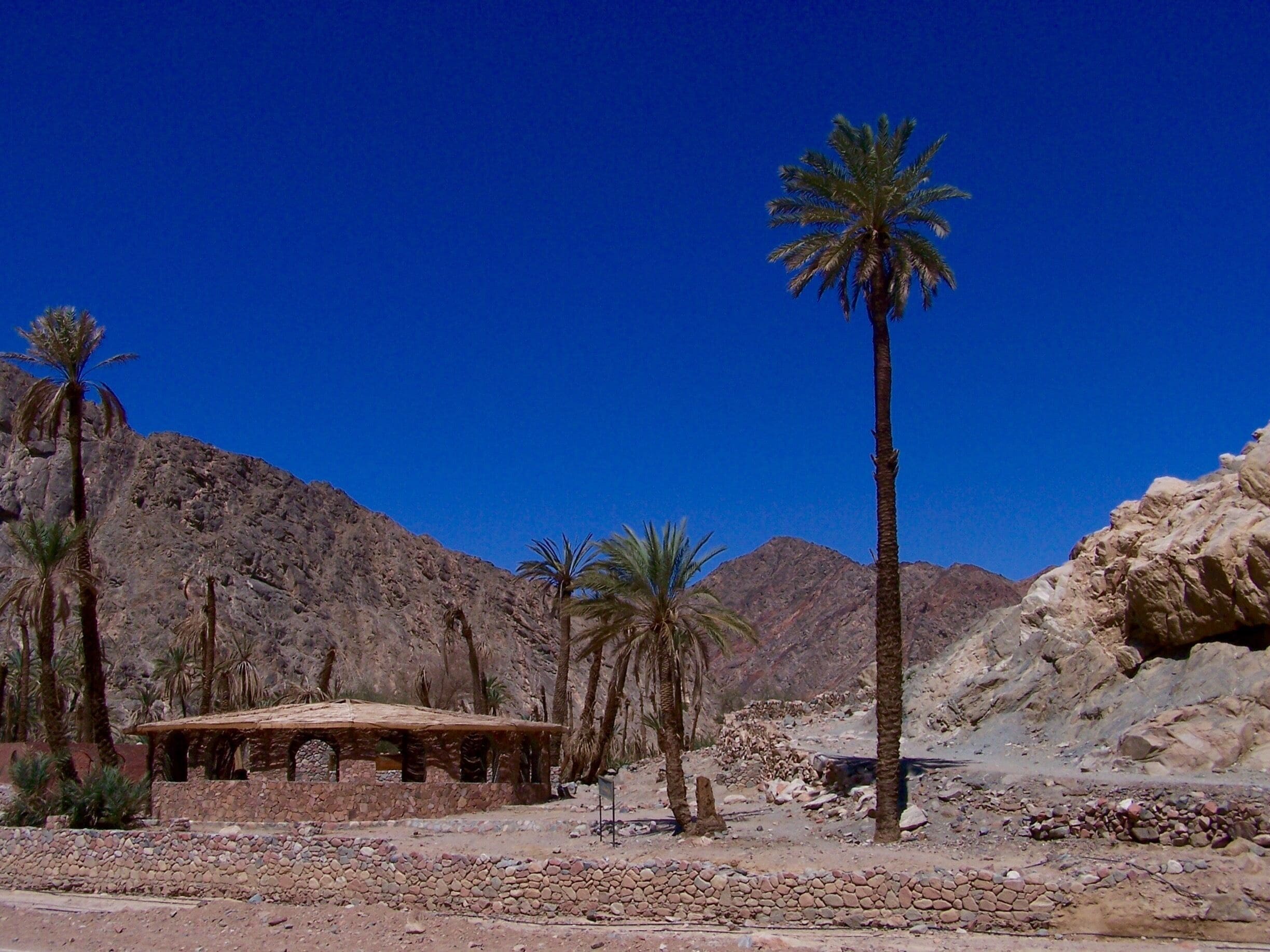 We were riding through the Sinai desert when I took this photo. 